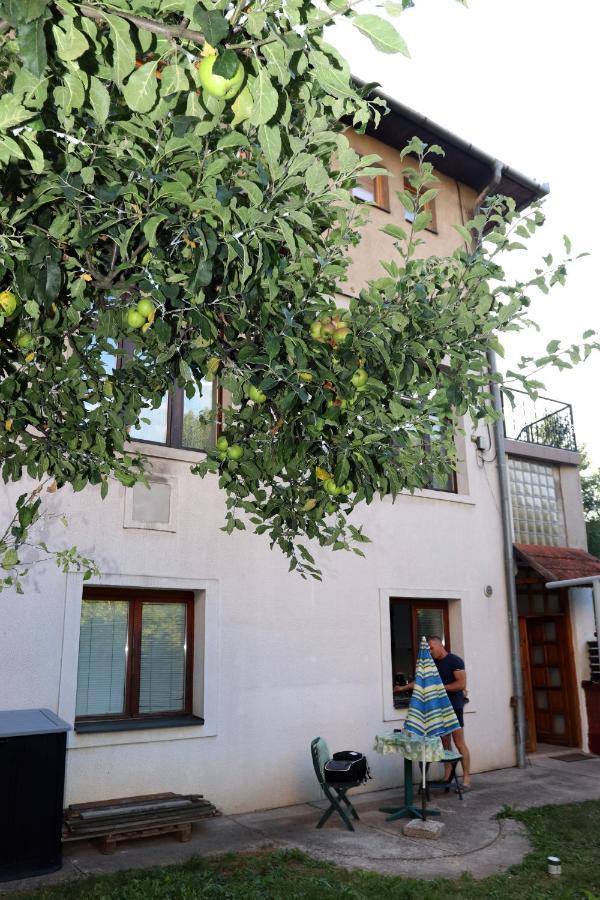 Vila Rijad Сараево Екстериор снимка